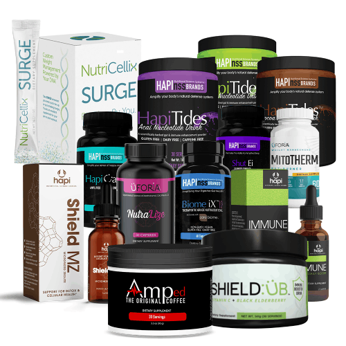Dynamic Bundle Six